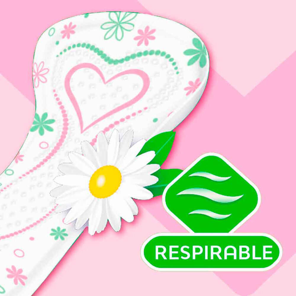 Protectores Saba Diarios Confort Manzanilla Regulares 24 piezas